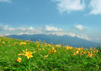 霧ヶ峰