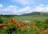 八島ヶ原湿原